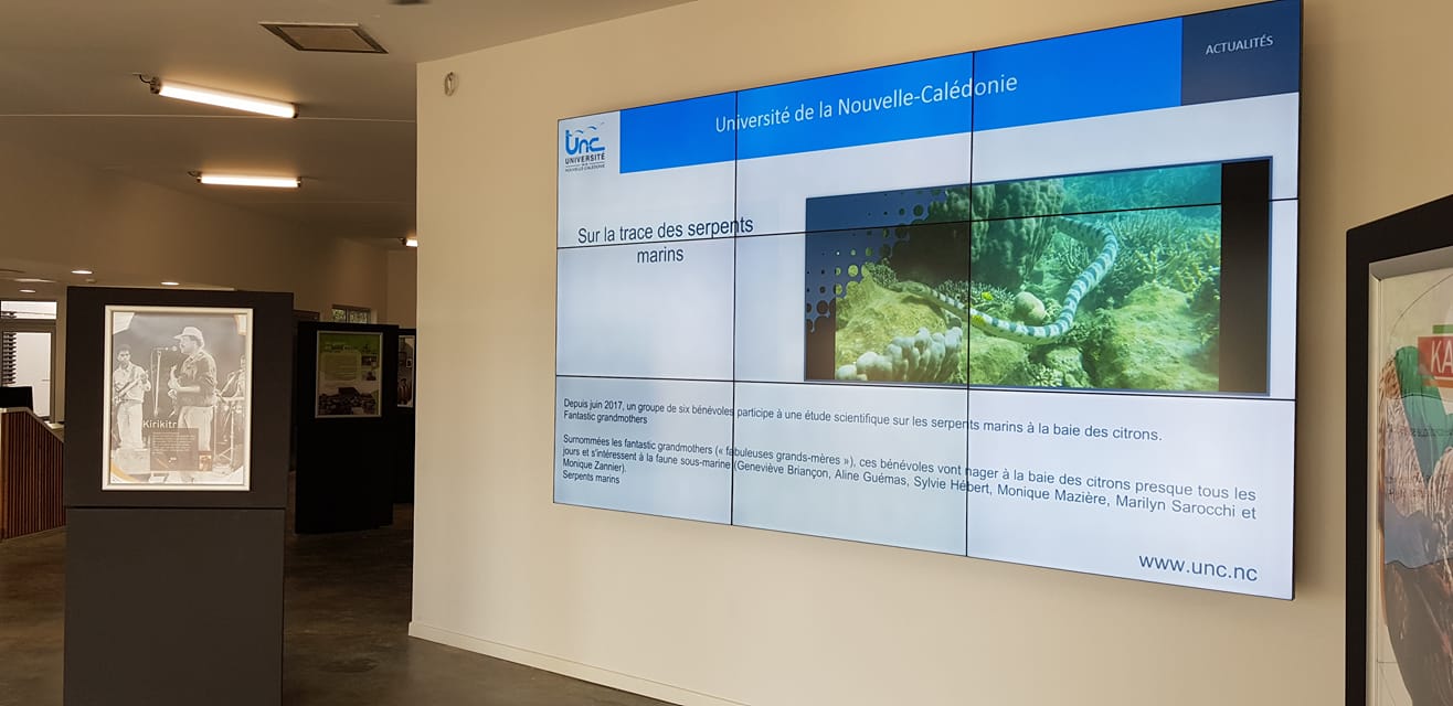 L&rsquo;UNC se dote d&rsquo;un réseau d&rsquo;Affichage Dynamique déployé par VisualCom